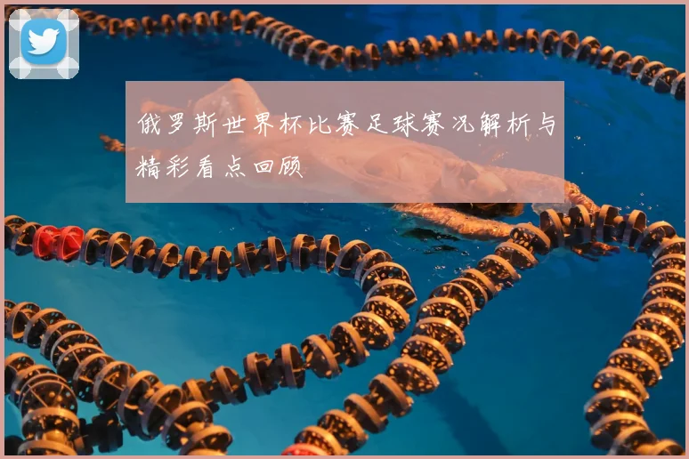 俄罗斯世界杯比赛足球赛况解析与精彩看点回顾