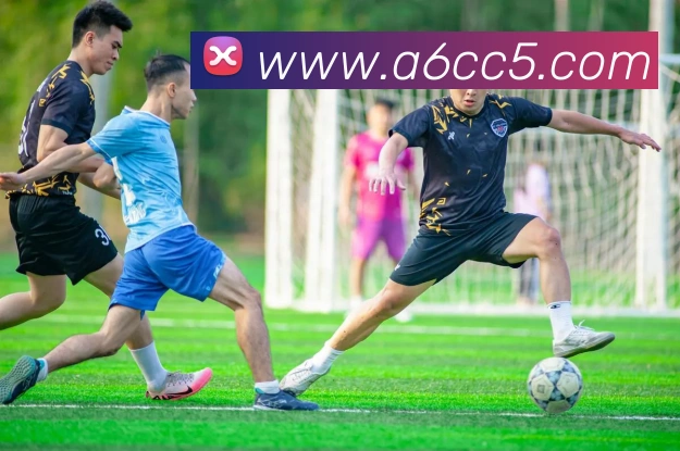 beat365在线唯一官网登录服务体系