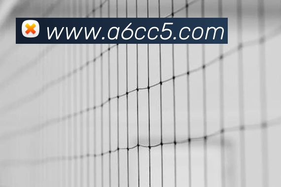 华体在线登录入口全站App